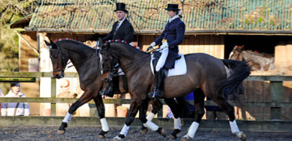 Dressage Break Cheshire